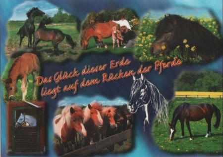 auf dem Rücken der Pferde - mit 7 Bildern - ca. 2000 auf dem Rücken der Pferde - mit 7 Bildern - ca. 2000