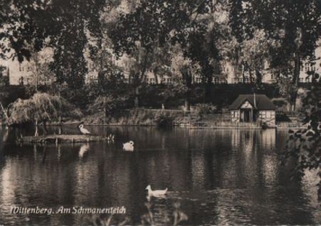 Wittenberg - am Schwanenteich Wittenberg - am Schwanenteich
