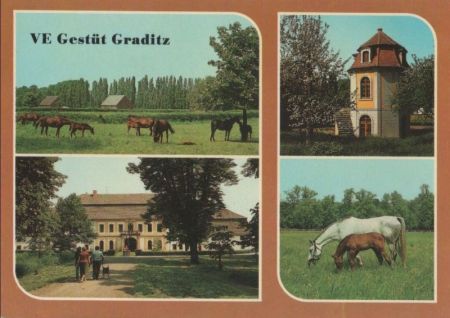 Torgau-Graditz - Gestüt - 1987 Torgau-Graditz - Gestüt - 1987