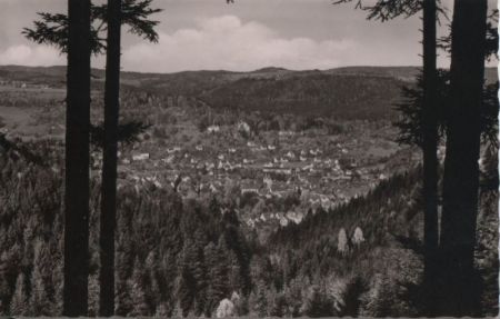 Murrhardt - Blick vom Riesberg - 1961 Murrhardt - Blick vom Riesberg - 1961