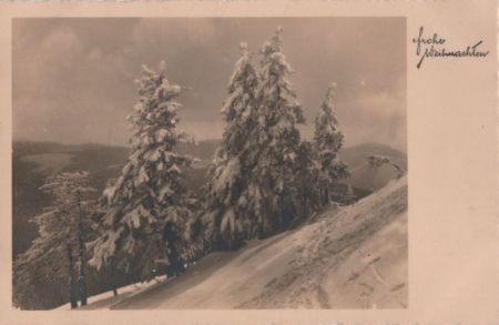 Frohe Weihnachten - Winterlandschaft Frohe Weihnachten - Winterlandschaft