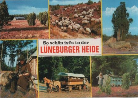 Lüneburger Heide - mit 6 Bildern - 1987 Lüneburger Heide - mit 6 Bildern - 1987
