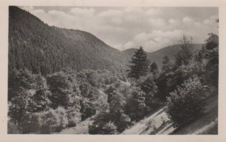 Tal im Wald - ca. 1955 Tal im Wald - ca. 1955