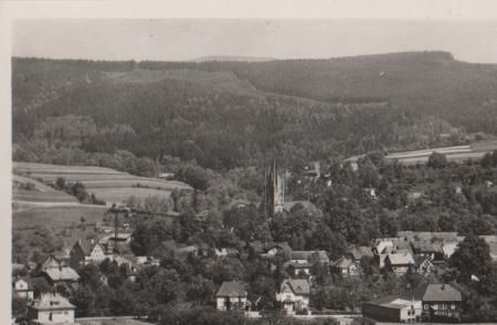 Königsee Thür. - Stadtwald - ca. 1955 Königsee Thür. - Stadtwald - ca. 1955