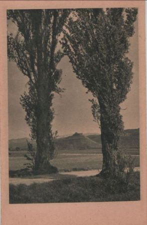 Zwei Bäume am Weg - ca. 1950 Zwei Bäume am Weg - ca. 1950
