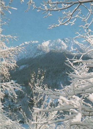 Winterlandschaft - 2000 Winterlandschaft - 2000