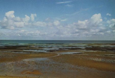 Wattenmeer - ca. 1985 Wattenmeer - ca. 1985