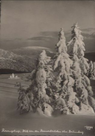Riesengebirge - Blick von Rennerbauden zum Brunnberg - ca. 1940 Riesengebirge - Blick von Rennerbauden zum Brunnberg - ca. 1940