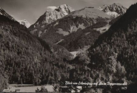 Österreich - Schnepfau-Schnepfegg - Blick auf Au - ca. 1960 Österreich - Schnepfau-Schnepfegg - Blick auf Au - ca. 1960