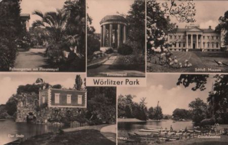 Wörlitz - Park, u.a. Palmengarten - 1962 Wörlitz - Park, u.a. Palmengarten - 1962