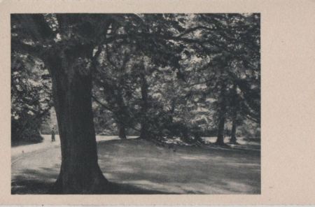 Idylle im Stadtpark - ca. 1955 Idylle im Stadtpark - ca. 1955