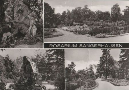 Sangerhausen - Rosarium - 1984 Sangerhausen - Rosarium - 1984