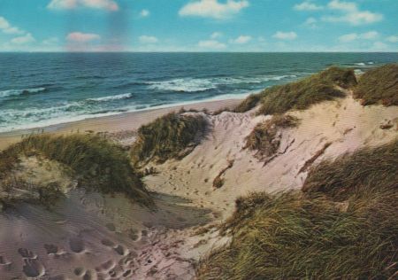 Lensahn - Ciste, Naturstrand Lenste - 1966 Lensahn - Ciste, Naturstrand Lenste - 1966