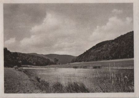 Flusslandschaft - ca. 1950 Flusslandschaft - ca. 1950