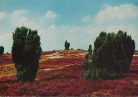 Heidelandschaft - 1971 Heidelandschaft - 1971