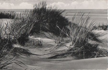 Sylt - Dünen am Strande - 1961 Sylt - Dünen am Strande - 1961