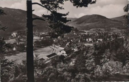 Bad Herrenalb - Blick vom Falkenstein - ca. 1960 Bad Herrenalb - Blick vom Falkenstein - ca. 1960