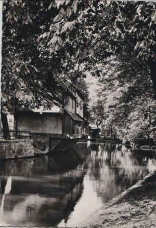 Erfurt - Am Dämmchen - ca. 1965 Erfurt - Am Dämmchen - ca. 1965