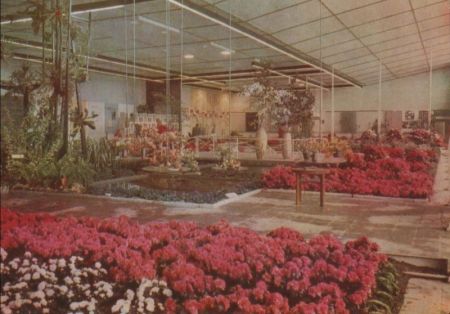 Erfurt - Internationale Gartenbauausstellung - 1961 Erfurt - Internationale Gartenbauausstellung - 1961