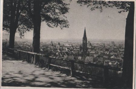 Freiburg - Blick vom Schloßberg - ca. 1955 Freiburg - Blick vom Schloßberg - ca. 1955