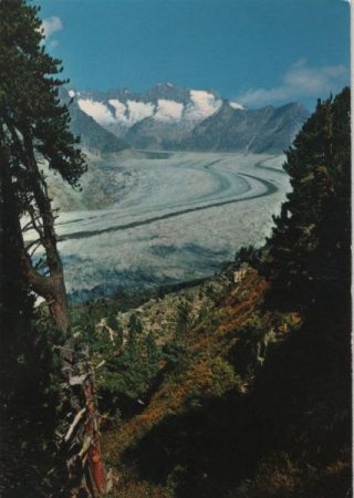 Schweiz - Aletschgletscher - Wannenhorn - ca. 1980 Schweiz - Aletschgletscher - Wannenhorn - ca. 1980