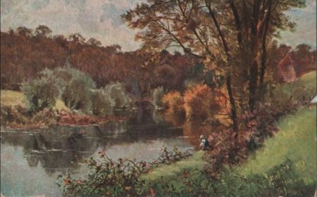 See im Wald See im Wald