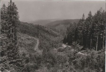 Altenberg-Bärenburg - Blick in den Langen Grund Altenberg-Bärenburg - Blick in den Langen Grund