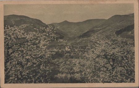 Elbe - Baumblüte - 1951 Elbe - Baumblüte - 1951