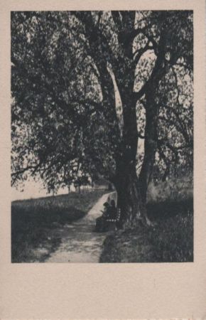 Müde Wanderer am Baum - ca. 1955 Müde Wanderer am Baum - ca. 1955
