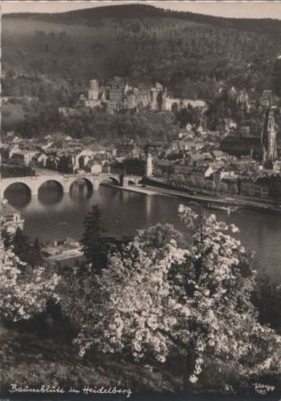 Heidelberg - Baumblüte - ca. 1955 Heidelberg - Baumblüte - ca. 1955