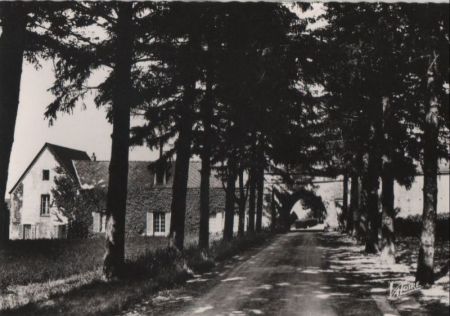 Frankreich - Tonnerre - Abbaye - ca. 1965 Frankreich - Tonnerre - Abbaye - ca. 1965