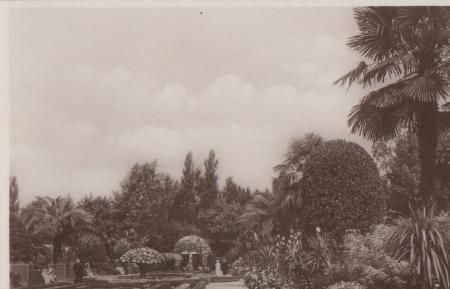 Bad Pyrmont mit Palmengarten - ca. 1955 Bad Pyrmont mit Palmengarten - ca. 1955