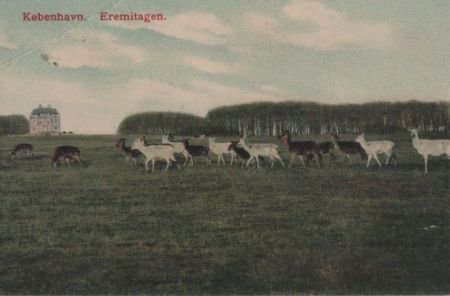 Dänemark - Kopenhagen - Eremitagen - ca. 1925 Dänemark - Kopenhagen - Eremitagen - ca. 1925