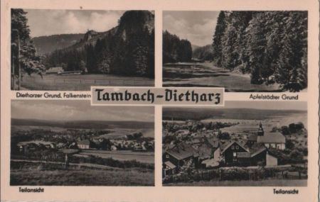 Tambach-Dietharz - u.a. Dietharzer Grund - 1959 Tambach-Dietharz - u.a. Dietharzer Grund - 1959