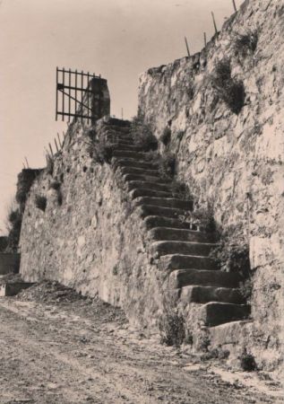 Aufstieg zum Weinberg - 1981 Aufstieg zum Weinberg - 1981
