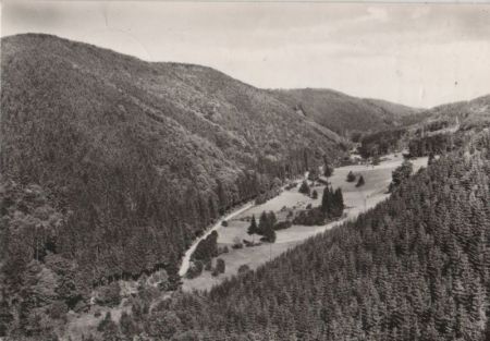 Ilsfeld-Netzkater - Brandesbachtal Ilsfeld-Netzkater - Brandesbachtal