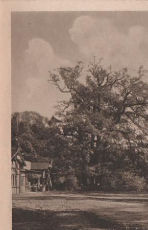 Eutin - Ugleisee - Gasthaus z. Uglei - ca. 1935 Eutin - Ugleisee - Gasthaus z. Uglei - ca. 1935