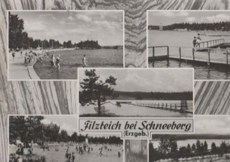 Filzteich bei Schneeberg Erzgebirge - 1969 Filzteich bei Schneeberg Erzgebirge - 1969