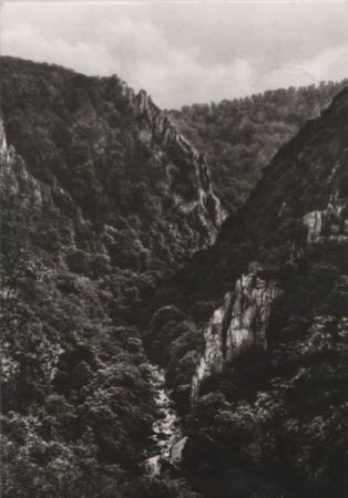 Thale - Blick vom Bodetor ins Bodetal - 1985 Thale - Blick vom Bodetor ins Bodetal - 1985