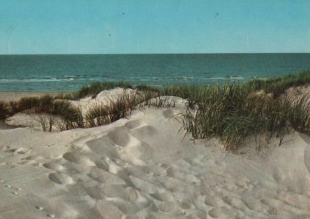 Dünen am Meer - 1969 Dünen am Meer - 1969