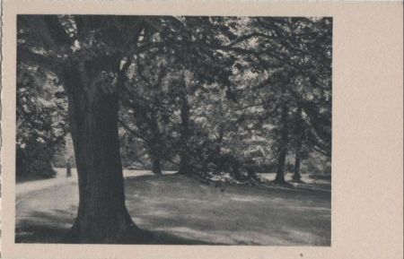 Partie im Park - ca. 1955 Partie im Park - ca. 1955