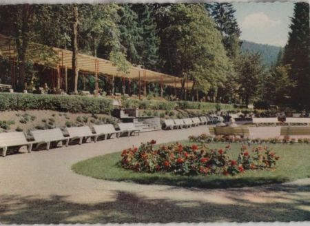 Wildemann - Kurpark Wildemann - Kurpark