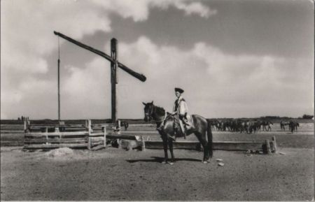 Ungarn - Hortobagy - Csikos - ca. 1965 Ungarn - Hortobagy - Csikos - ca. 1965
