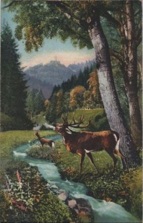 Zavelstein - Partie im Teinachtal - ca. 1920 Zavelstein - Partie im Teinachtal - ca. 1920