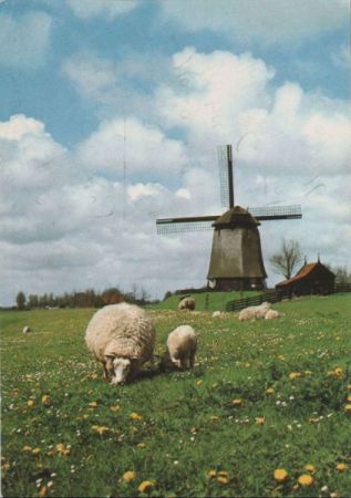 Niederlande - Alkmaar-Schermerhorn - Mühle - ca. 1985 Niederlande - Alkmaar-Schermerhorn - Mühle - ca. 1985