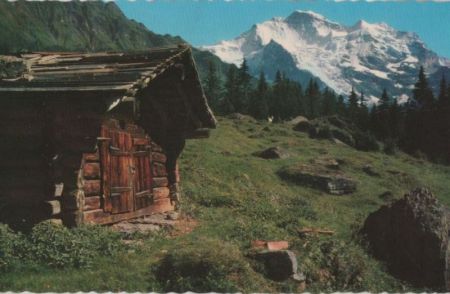 Schweiz - Wangen - Jungfrau - ca. 1965 Schweiz - Wangen - Jungfrau - ca. 1965