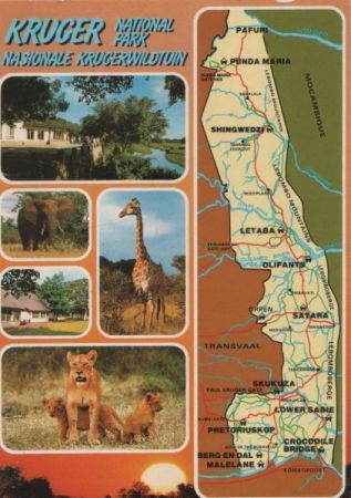 Südafrika - Krüger-Nationalpark - 1991 Südafrika - Krüger-Nationalpark - 1991