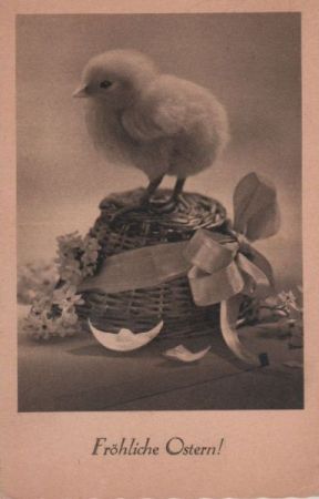 Frohe Ostern - Küken Frohe Ostern - Küken