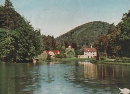 Bad Bergzabern - Schwanenweiher - 1965 Bad Bergzabern - Schwanenweiher - 1965
