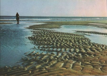 Meer Wanderer Meer Wanderer